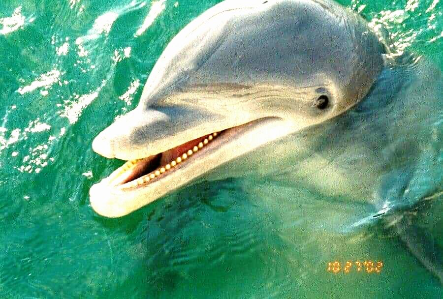 20200218 221737